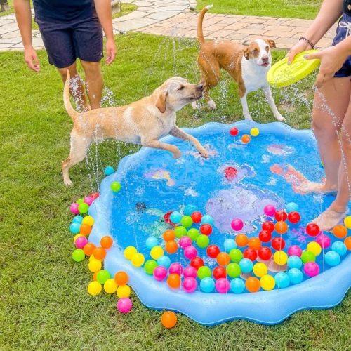 86c94c1f-3e9c-4542-b6ca-97f4426c9846