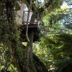 Romance e Luxo na Lua de Mel na Pousada do Engenho