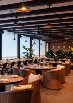 Toku delivers a sharable dining style that…